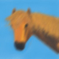 PONNY